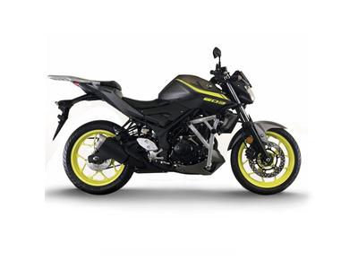 CRAZY IRON КЛЕТКА PRO YAMAHA MT-03 16-