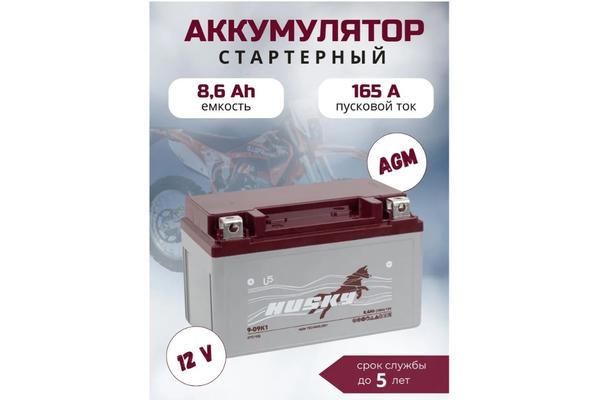 HUSKY Аккумулятор AGM YTZ10S