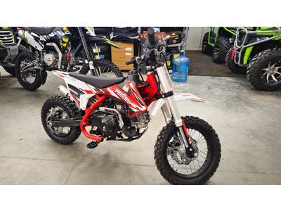 Питбайк Progasi Kids power 110 Красный