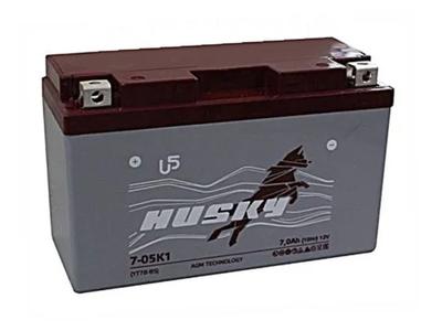 HUSKY Аккумулятор AGM YT7B-BS