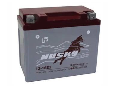 HUSKY Аккумулятор AGM YTX12-BS